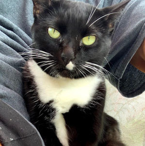 Meet your Posher, Penny